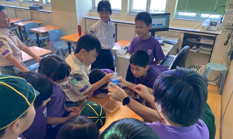 STEM in English